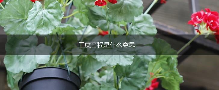 三度音程是什么意思,第1张