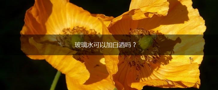 玻璃水可以加白酒吗？,第1张