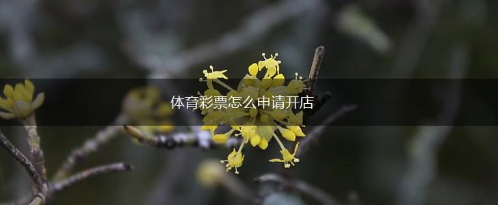 体育彩票怎么申请开店,第1张