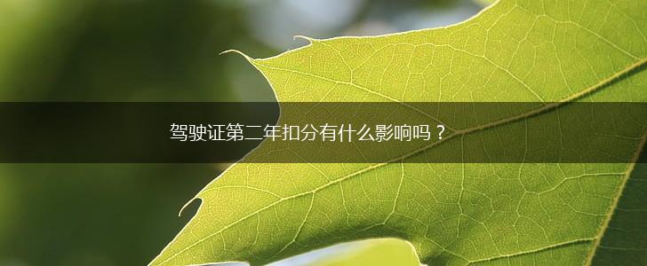 驾驶证第二年扣分有什么影响吗？,第1张
