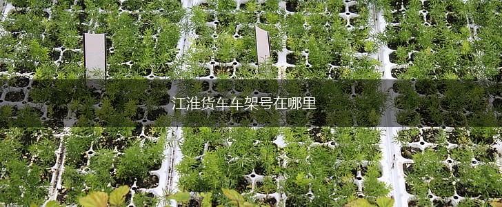 江淮货车车架号在哪里,第1张