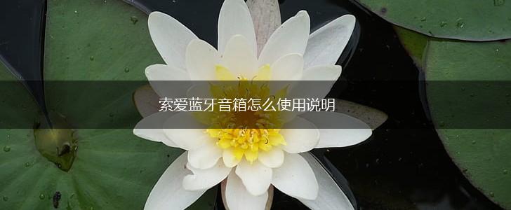 索爱蓝牙音箱怎么使用说明,第1张