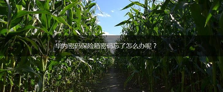 华为密码保险箱密码忘了怎么办呢？,第1张