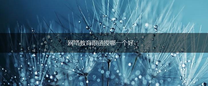 网络教育跟函授哪一个好,第1张