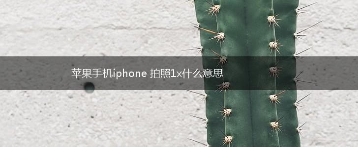苹果手机iphone 拍照1x什么意思,第1张