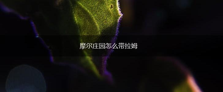 摩尔庄园怎么带拉姆,第1张