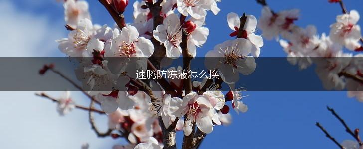 速腾防冻液怎么换,第1张