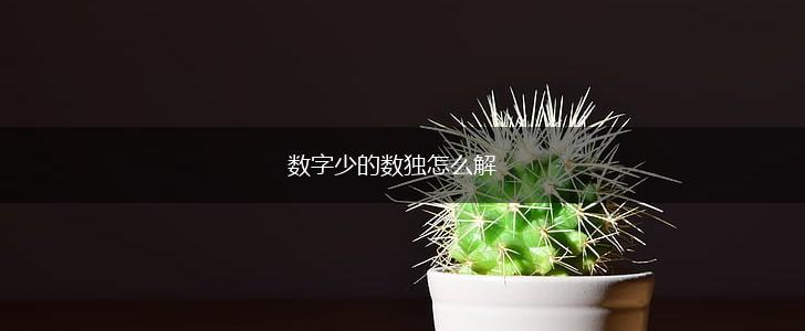 数字少的数独怎么解,第1张