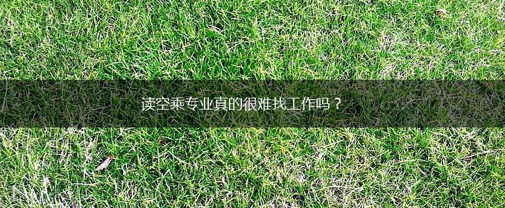 读空乘专业真的很难找工作吗？,第1张