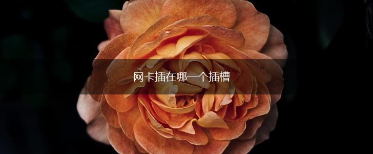 网卡插在哪一个插槽,第1张