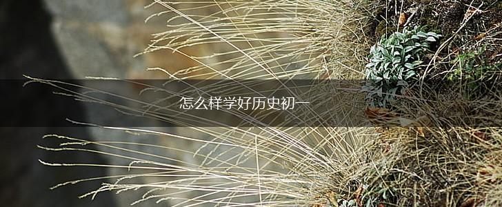 怎么样学好历史初一,第1张