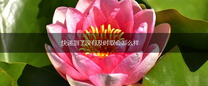 快递到了没有及时取会怎么样,第1张