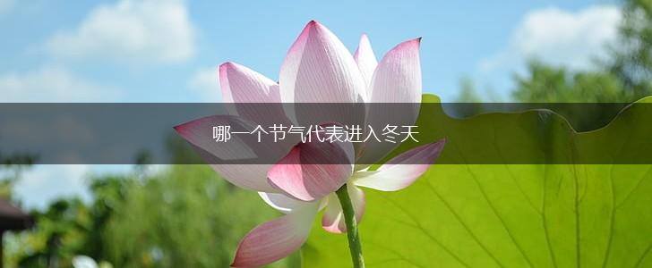 哪一个节气代表进入冬天,第1张