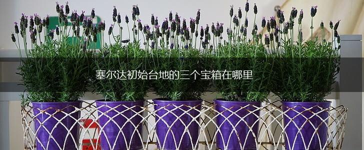 塞尔达初始台地的三个宝箱在哪里,第1张