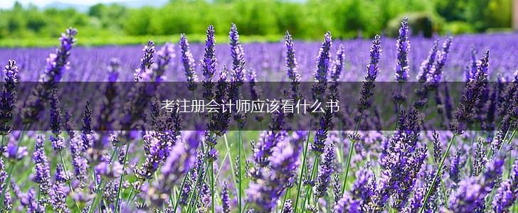 考注册会计师应该看什么书,第1张