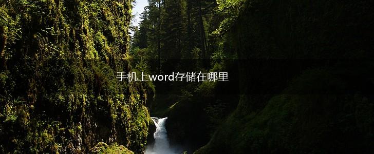 手机上word存储在哪里,第1张