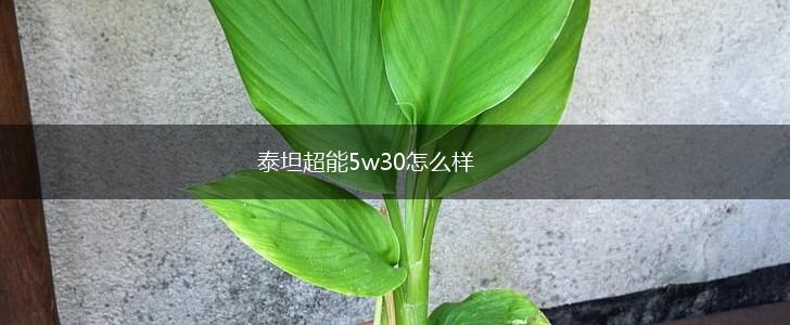 泰坦超能5w30怎么样,第1张
