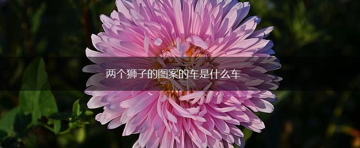 两个狮子的图案的车是什么车,第1张