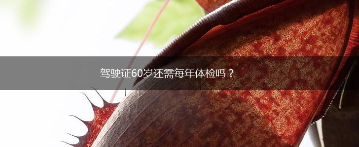驾驶证60岁还需每年体检吗？,第1张