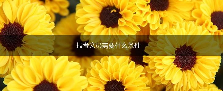 报考文员需要什么条件,第1张