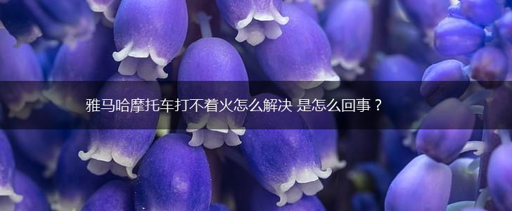 雅马哈摩托车打不着火怎么解决 是怎么回事？,第1张