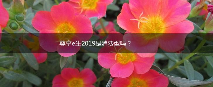 尊享e生2019是消费型吗？,第1张
