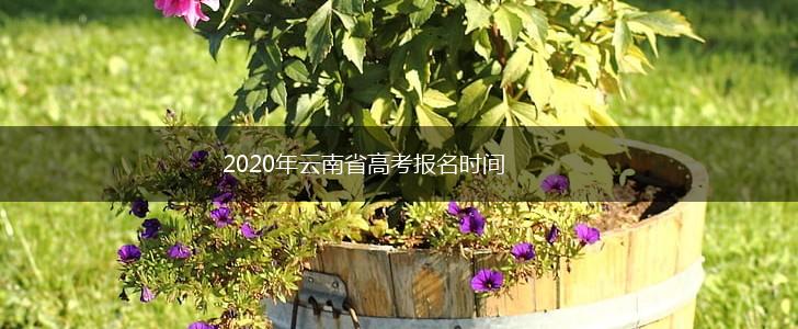 2020年云南省高考报名时间,第1张