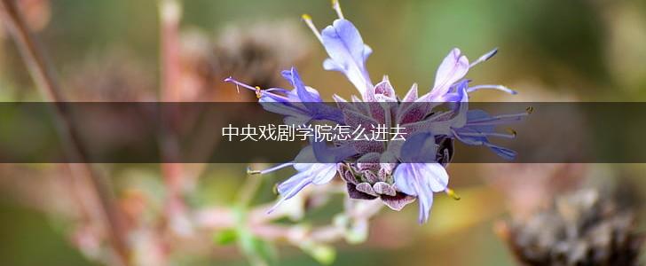 中央戏剧学院怎么进去,第1张