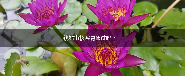 钱站审核容易通过吗？,第1张