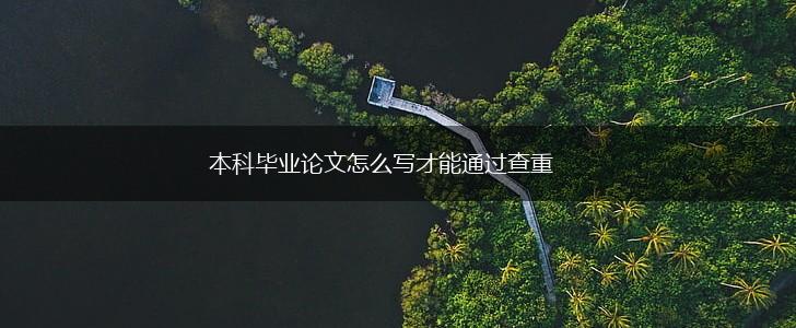 本科毕业论文怎么写才能通过查重,第1张