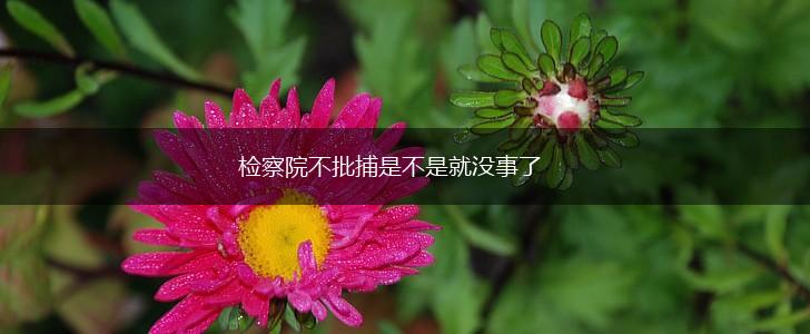 检察院不批捕是不是就没事了,第1张