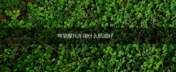 弯梁摩托车用什么机油好,第1张
