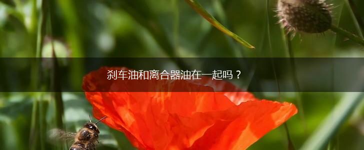 刹车油和离合器油在一起吗？,第1张