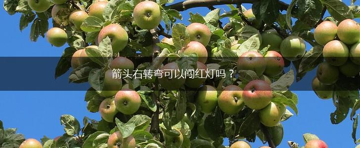 箭头右转弯可以闯红灯吗？,第1张