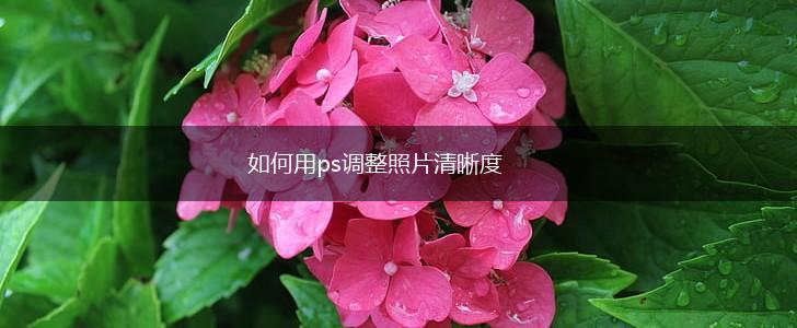 如何用ps调整照片清晰度,第1张