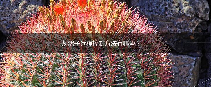 灰鸽子远程控制方法有哪些?,第1张 灰鸽子远程控制方法有哪些?,第1张