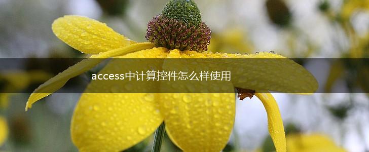 access中计算控件怎么样使用,第1张
