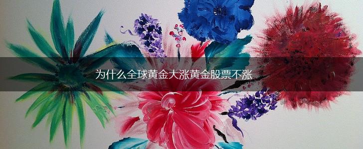 为什么全球黄金大涨黄金股票不涨,第1张