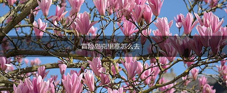 冒险岛克里塞怎么去,第1张