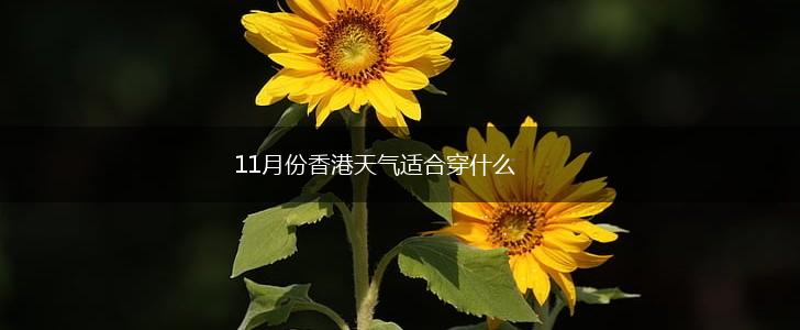 11月份香港天气适合穿什么,第1张