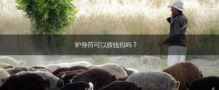 护身符可以放钱包吗？,第1张