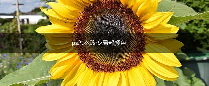 ps怎么改变局部颜色,第1张