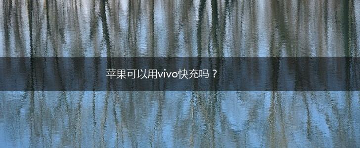 苹果可以用vivo快充吗？,第1张