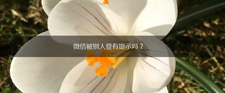 微信被别人登有提示吗？,第1张