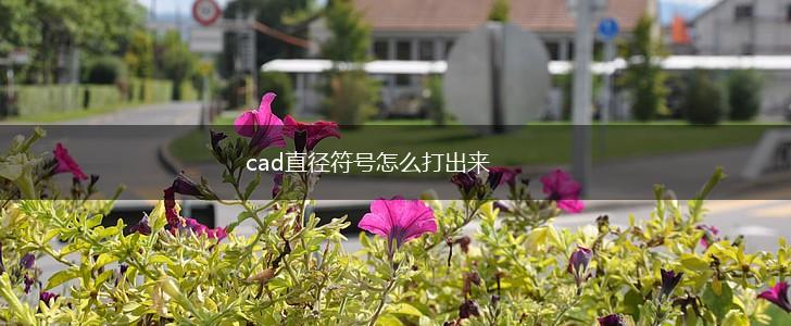 cad直径符号怎么打出来,第1张