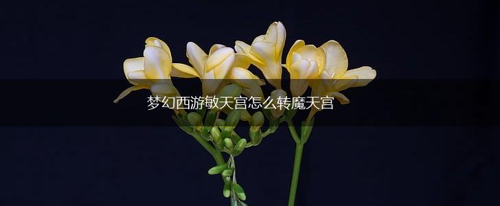 梦幻西游敏天宫怎么转魔天宫,第1张