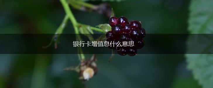 银行卡增值息什么意思,第1张
