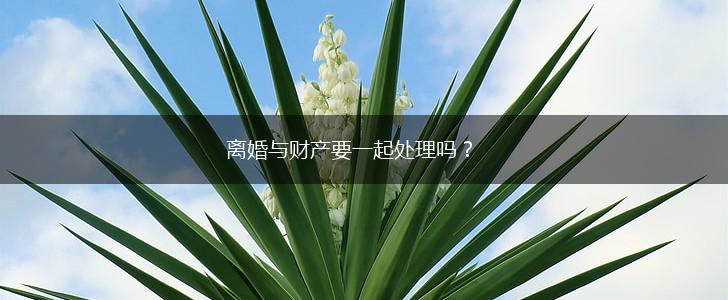 离婚与财产要一起处理吗？,第1张