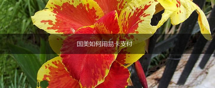 国美如何用易卡支付,第1张