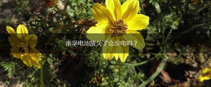 南孚电池放久了会没电吗？,第1张